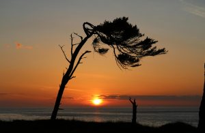 Point Wilson Sunset
